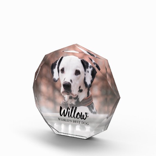 Pet-foto aangepast fotoblokken (Rechts)