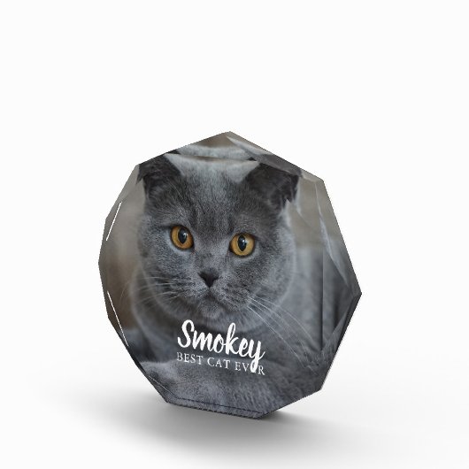 Pet-foto aangepast fotoblokken (Rechts)