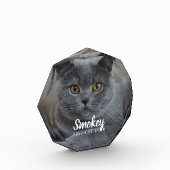 Pet-foto aangepast fotoblokken (Links)