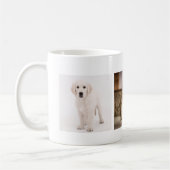 Pet foto aangepast koffiemok (Links)