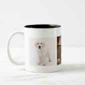 Pet foto aangepast tweekleurige koffiemok (Links)