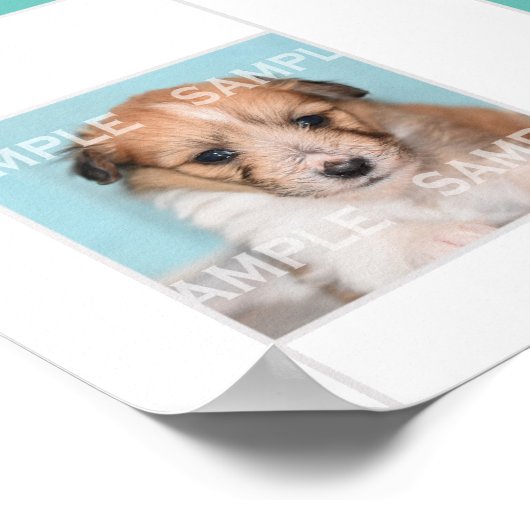 Pet foto collage 18 DIY keepomwille memorial wall Poster (Hoek)