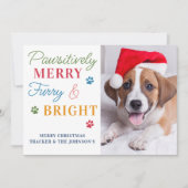 Pet-foto Funny Cute Cat Dog Kerstjaar Review Feestdagenkaart (Voorkant)