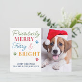 Pet-foto Funny Cute Cat Dog Kerstjaar Review Feestdagenkaart (Staand voorkant)