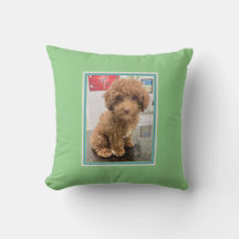 Pet Foto Gepersonaliseerd Dog Pillow