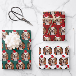 Pet Foto Kerstmis Kleuren Santa Hoeden op Hoofd Inpakpapier Vel