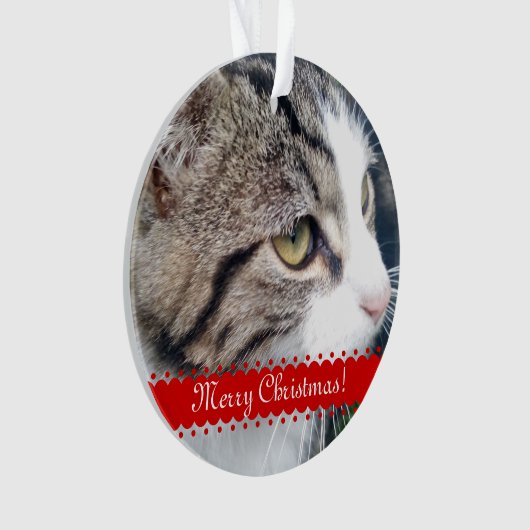 Pet-foto kerstversiering | Upload je afbeeldingen Ornament (voorkant)