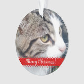 Pet-foto kerstversiering | Upload je afbeeldingen Ornament (voorkant)