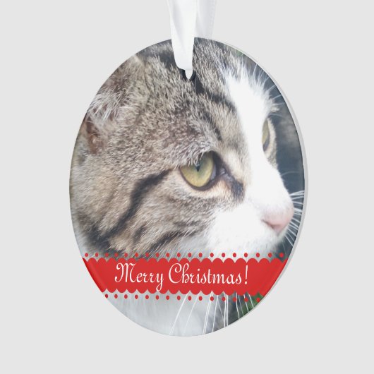 Pet-foto kerstversiering | Upload je afbeeldingen Ornament (voorkant)