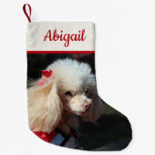 Pet-foto omkeerbaar, aangepast kleine kerstsok (Voorkant)