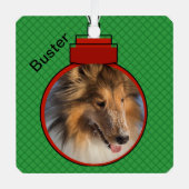 Pet Foto Sjabloon met naam Kerstlicht Metalen Ornament (Voorkant)