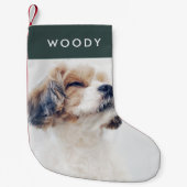 Pet-fotokerstfeest | Minimale groene woudhond Kleine Kerstsok (Voorkant)