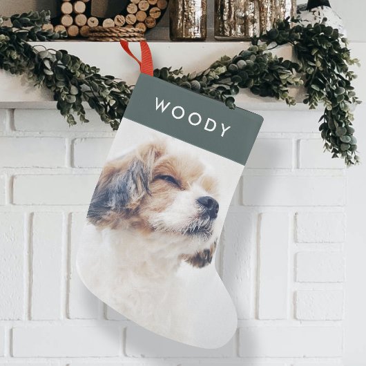 Pet-fotokerstfeest | Minimale groene woudhond Kleine Kerstsok