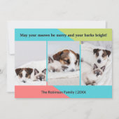 Pet foto's Grappig en feestelijk Kerstmis Feestdagenkaart (Voorkant)