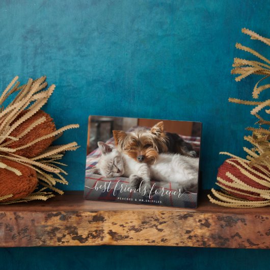 Pet Friends Best Friends Forever BFF Besties Foto Fotoplaat (Zijkant)