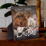 Pet Friends Dog Dad Cat mam Gift BFF Besties Foto Fotoplaat<br><div class="desc">Heb je huisdieren die beste vrienden zijn? Viel de BESTEMMINGEN met deze moderne fotoplaat met penseelscript om een favoriete foto van je bont en hun namen te laten zien. Eenvoudig aan te passen,  dit zal een geweldig cadeau zijn voor elke kattenmoeder,  hondenvader of fan van intersoortliefde.</div>