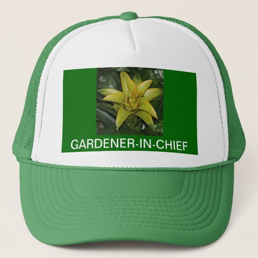 PET, GARDENER-IN-CHIEF, GROENE BROMELIAD TRUCKER PET (Voorkant)
