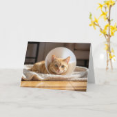 Pet Get Well Ginger Cat Wearing a Cone of Shame Kaart (Gele Bloem)