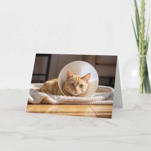 Pet Get Well Ginger Cat Wearing a Cone of Shame Kaart (Voorkant)