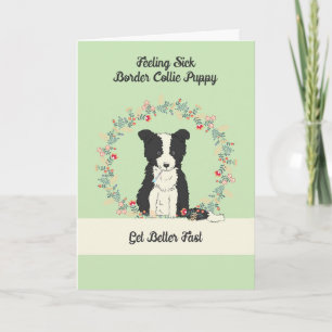 Pet Get Well Kaart for Border Collie Puppy