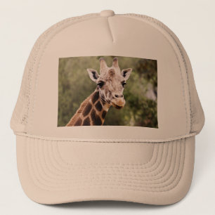 Pet Giraffe vrachtwagenchauffeur