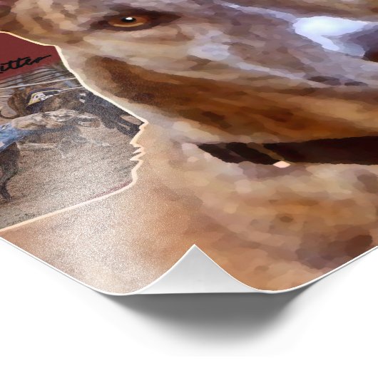 Pet Greyhound Print Foto Afdruk (Hoek)