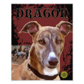 Pet Greyhound Print Foto Afdruk (Voorkant)
