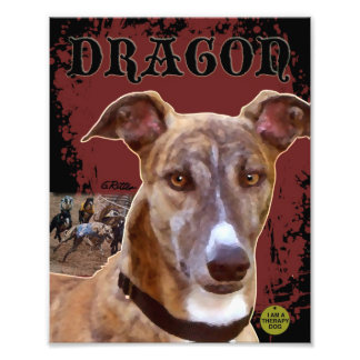 Pet Greyhound Print Foto Afdruk