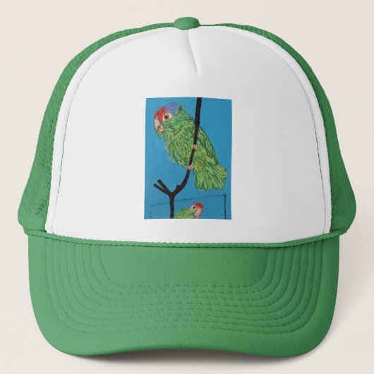 pet groene papegaai (Voorkant)