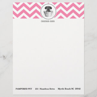 Pet Groomer Business Letterhead-papier Custom Briefhoofd