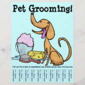 Pet Grooming Dog Flyer (Voorkant)