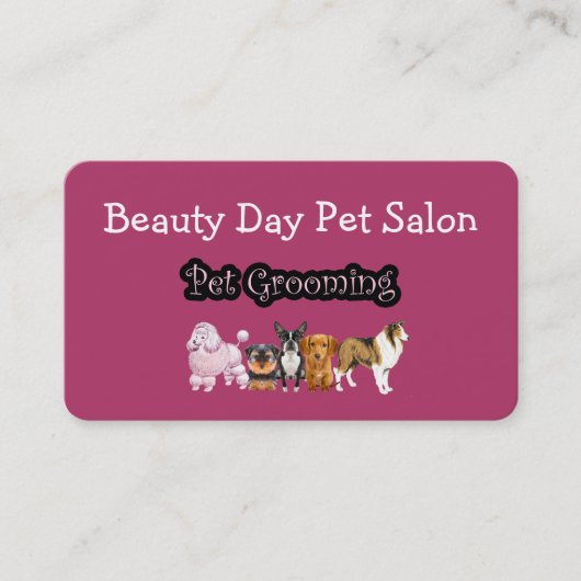 Pet Grooming Moderne Bedrijfskaarten Visitekaartje (Voorkant)