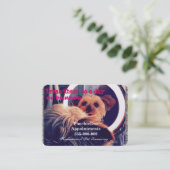 Pet Grooming Primping Pooch Professional Afsprakenkaartje (Staand voorkant)