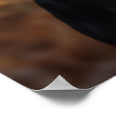 Pet Grooming Salon Boutique Duits Pinsch Portret Poster (Hoek)