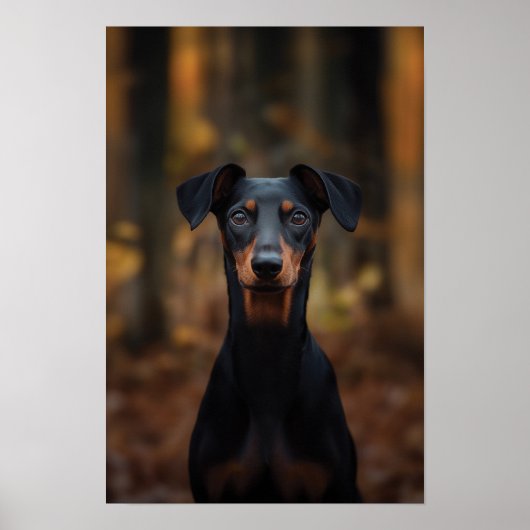 Pet Grooming Salon Boutique Duits Pinsch Portret Poster (Voorkant)