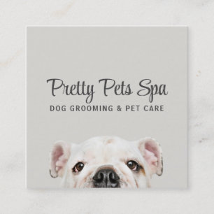 Pet Grooming Sitter Dog Spa Square Visitekaartje