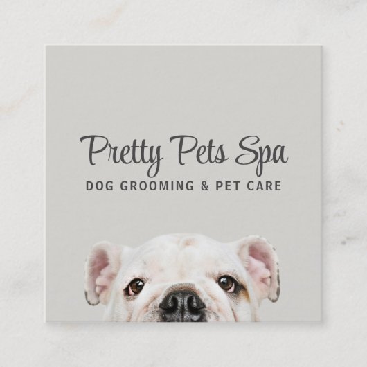 Pet Grooming Sitter Dog Spa Square Visitekaartje (Voorkant)