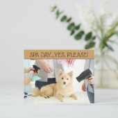 Pet Grooming Spa Day Briefkaart (Staand voorkant)