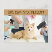 Pet Grooming Spa Day Briefkaart (Voorkant)