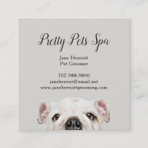 Pet Grooming Vierkante Visitekaartje