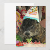 Pet Groundhog Moses Verjaardagsuitnodiging Kaart (Voorkant / Achterkant)
