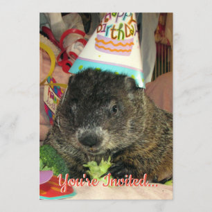 Pet Groundhog Moses Verjaardagsuitnodiging Kaart