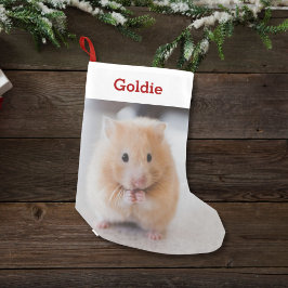 Pet Hamster Lover Foto & Naam Gepersonaliseerd Kleine Kerstsok