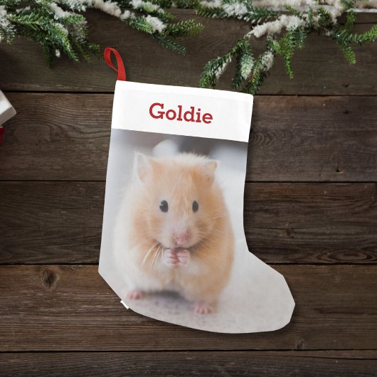 Pet Hamster Lover Foto & Naam Gepersonaliseerd Kleine Kerstsok