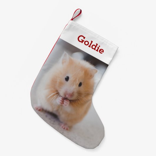 Pet Hamster Lover Foto & Naam Gepersonaliseerd Kleine Kerstsok (Voorkant (Hangend))