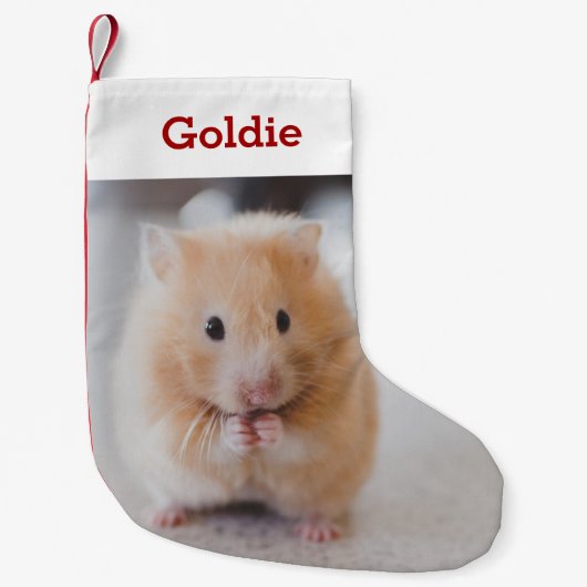 Pet Hamster Lover Foto & Naam Gepersonaliseerd Kleine Kerstsok (Voorkant)