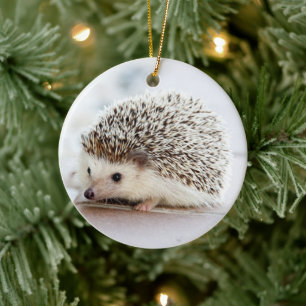 Pet Hedegel Keramisch Ornament