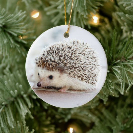 Pet Hedegel Keramisch Ornament (Boom)