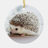 Pet Hedegel Keramisch Ornament (Voorkant)