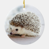 Pet Hedegel Keramisch Ornament (Achterkant)